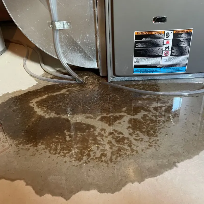 Pipe Burst and Leak Restoration in Sanpete County, UT